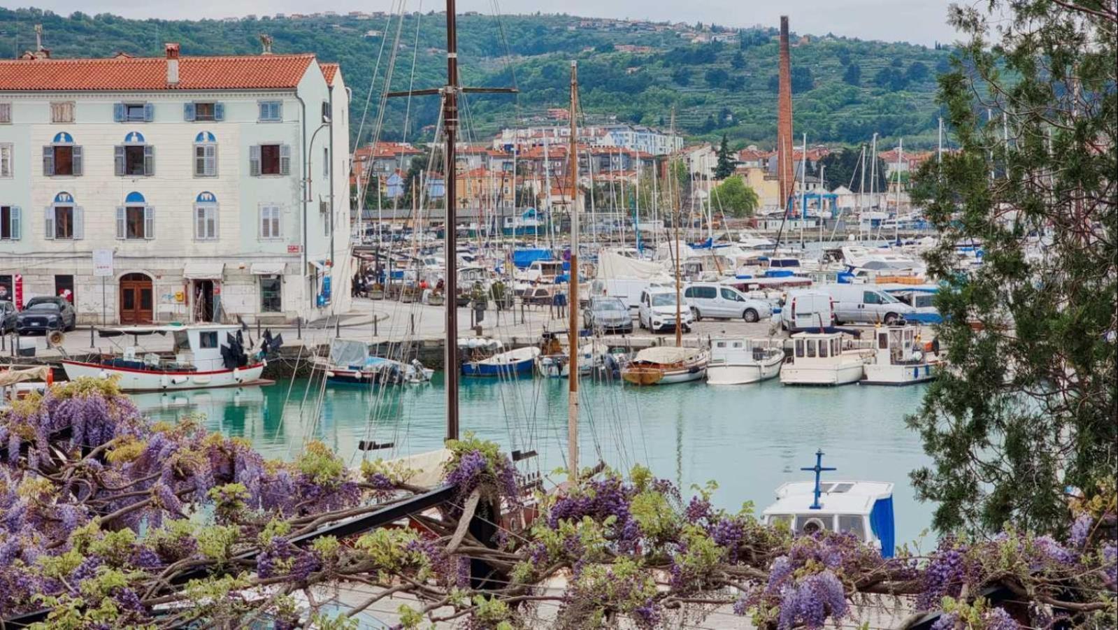 Marina Izola